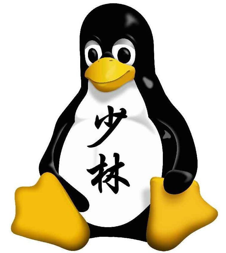 chenb0x development shaolinux logo